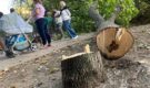 Жители московского района Хорошево-Мневники не зря понадеялись на Александра Бастрыкина — СК начал проверку по их обращению